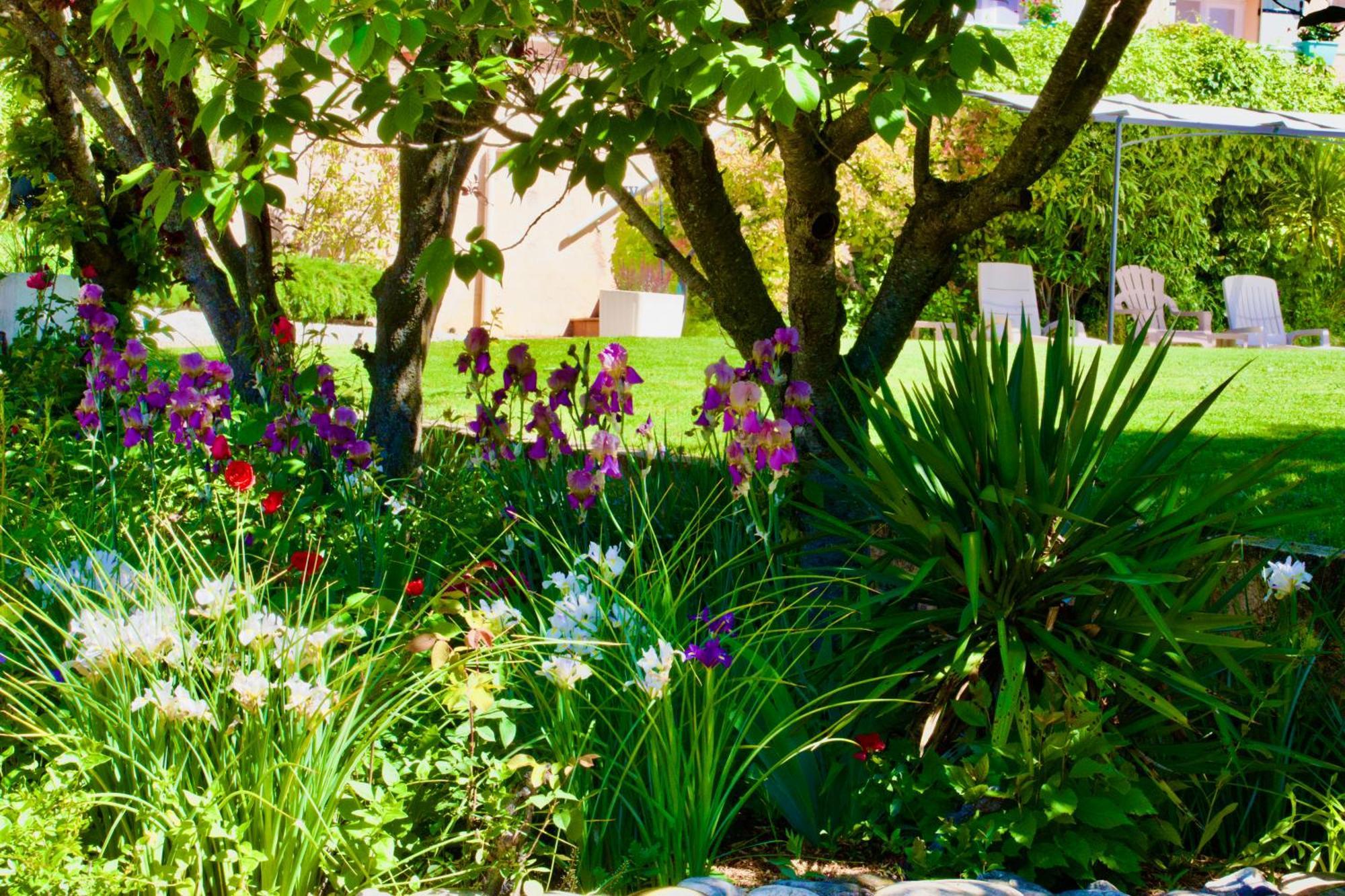 Bed and Breakfast La Bastide Des Roses Saint-Julien-d'Asse Экстерьер фото
