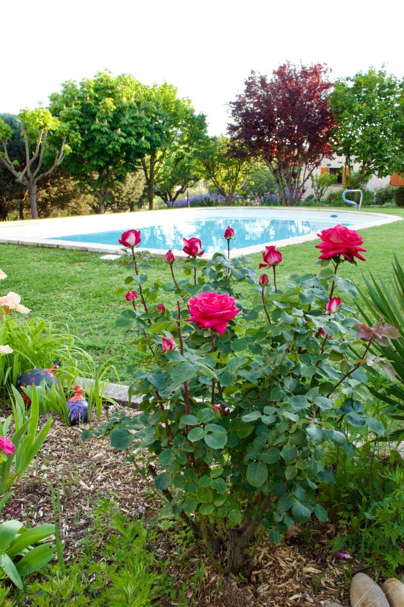 Bed and Breakfast La Bastide Des Roses Saint-Julien-d'Asse Экстерьер фото