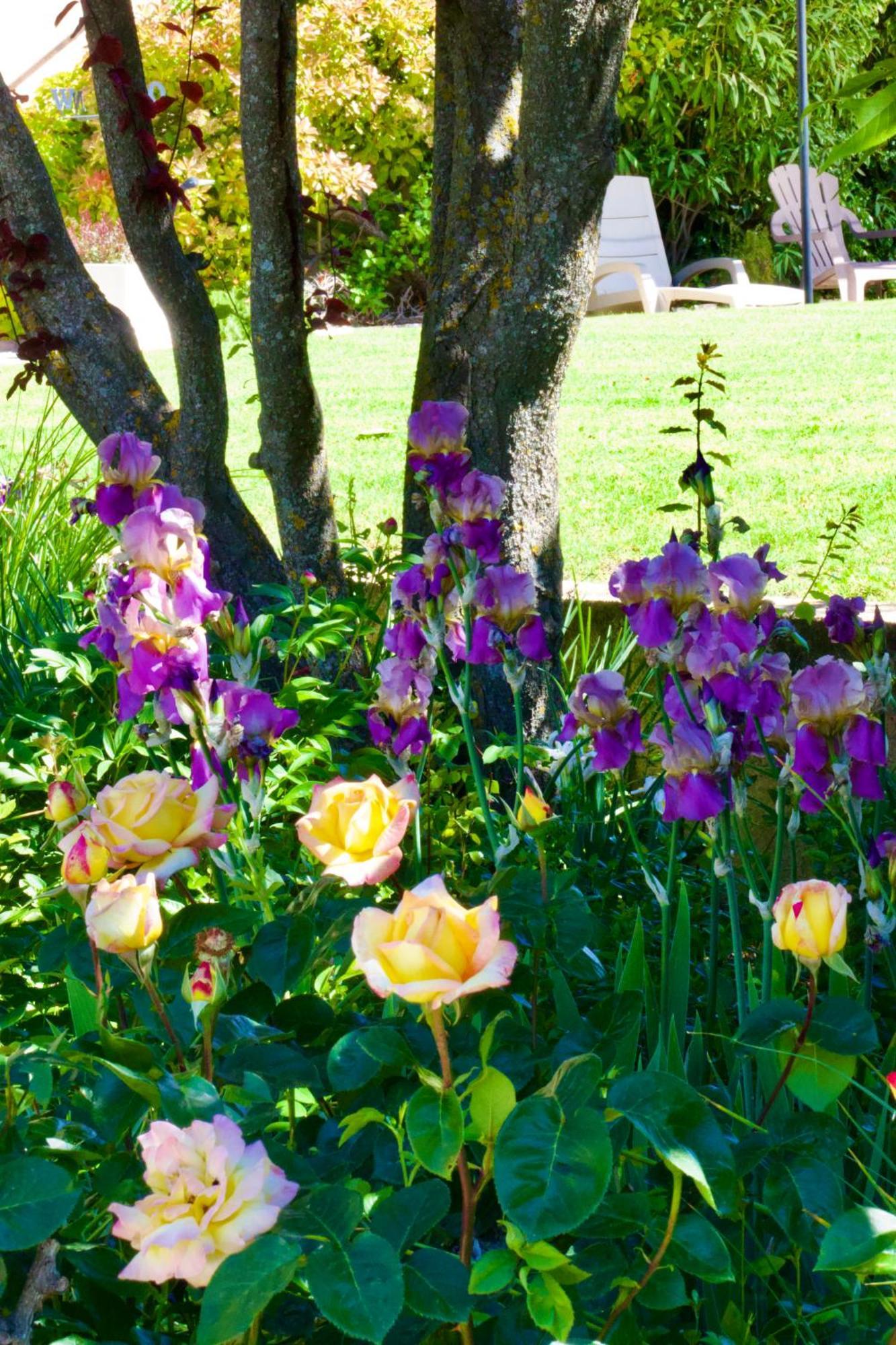 Bed and Breakfast La Bastide Des Roses Saint-Julien-d'Asse Экстерьер фото