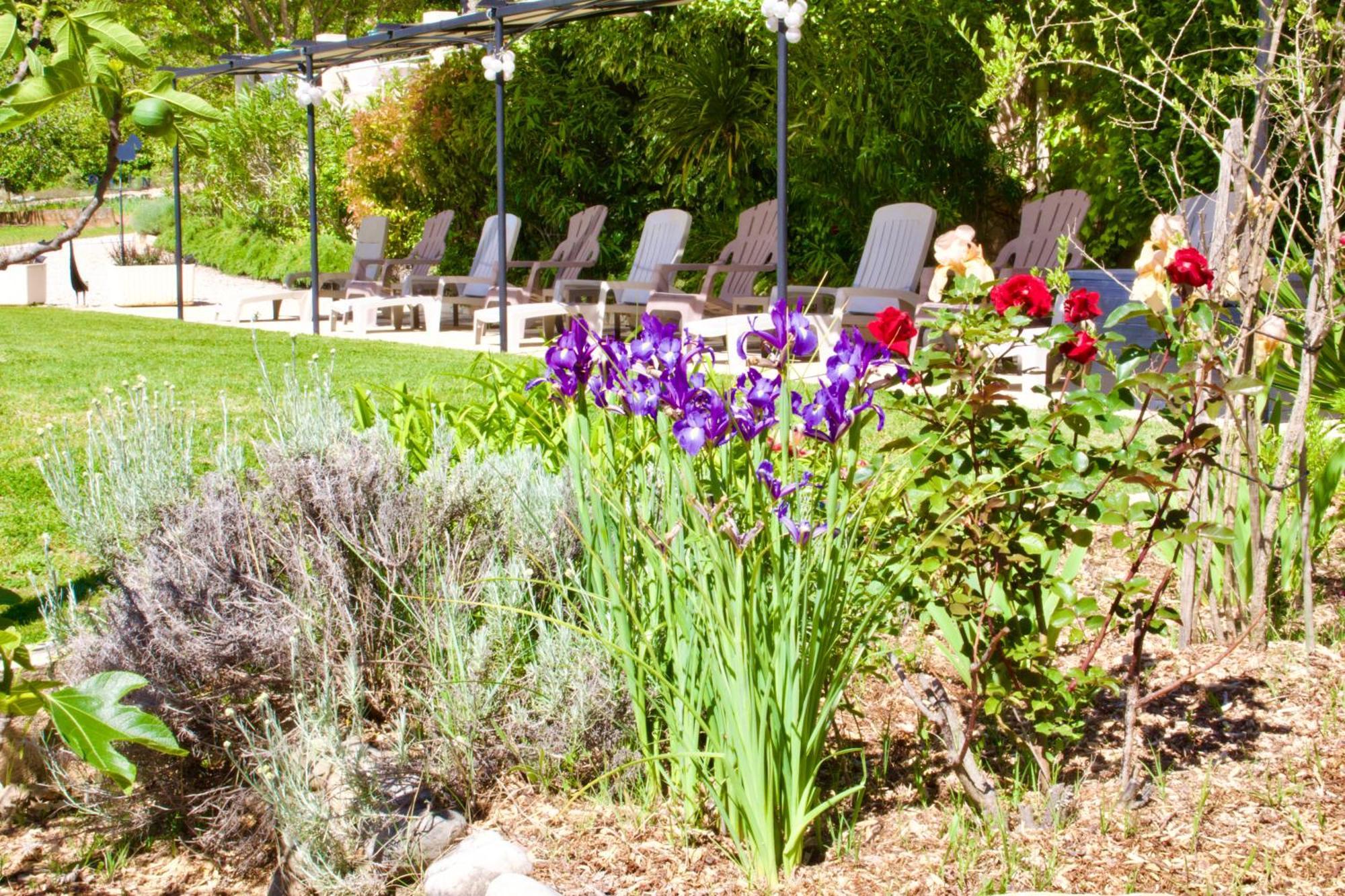 Bed and Breakfast La Bastide Des Roses Saint-Julien-d'Asse Экстерьер фото