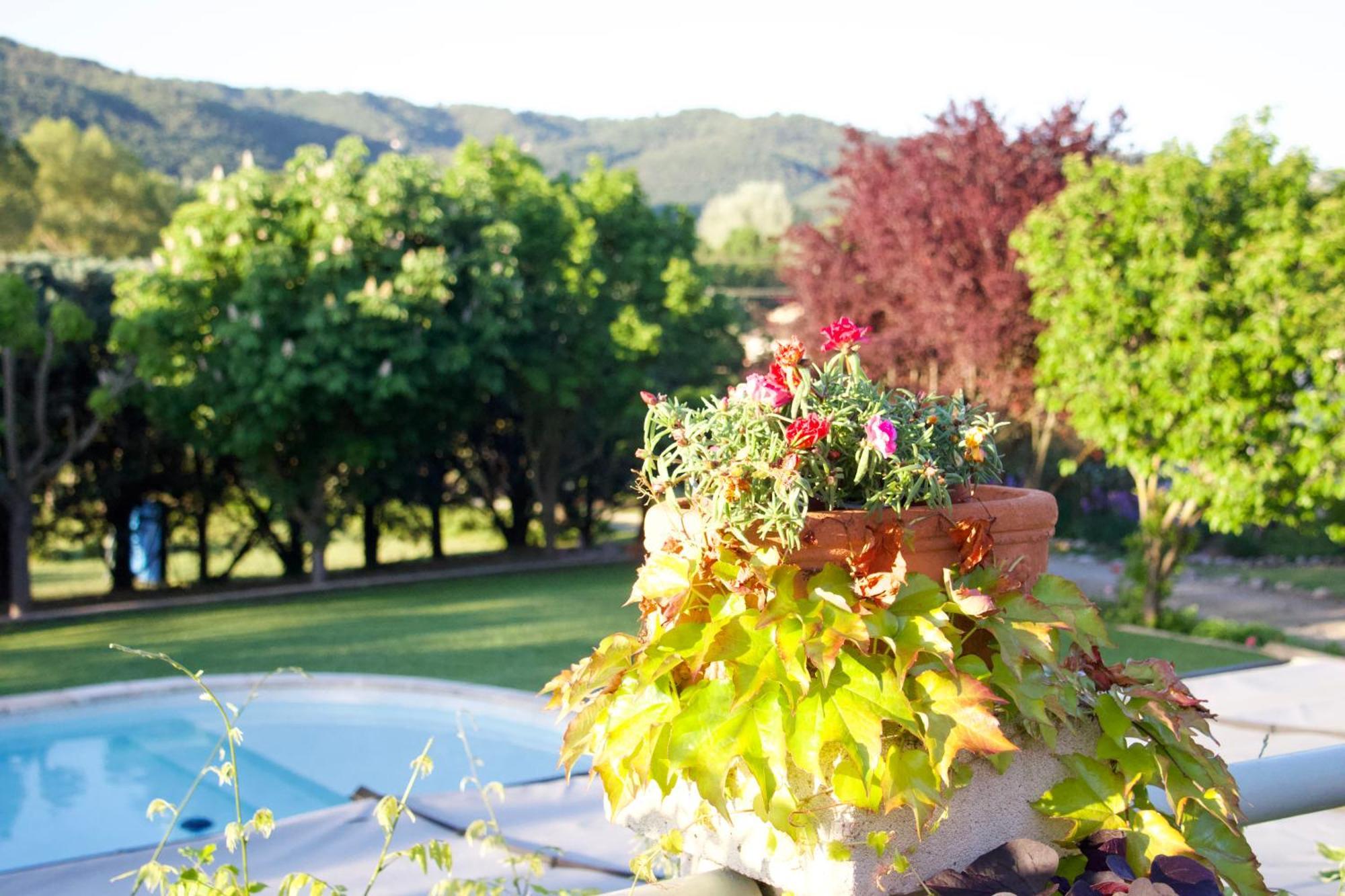 Bed and Breakfast La Bastide Des Roses Saint-Julien-d'Asse Экстерьер фото