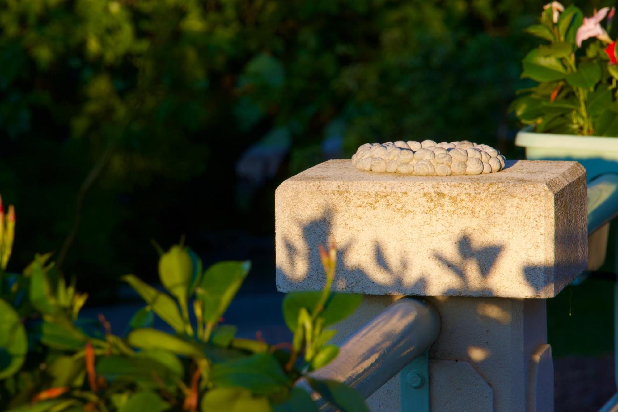 Bed and Breakfast La Bastide Des Roses Saint-Julien-d'Asse Экстерьер фото